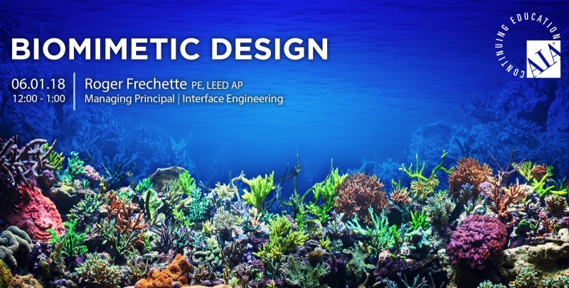 Biomimetic Solutions Social Promo 1280X650