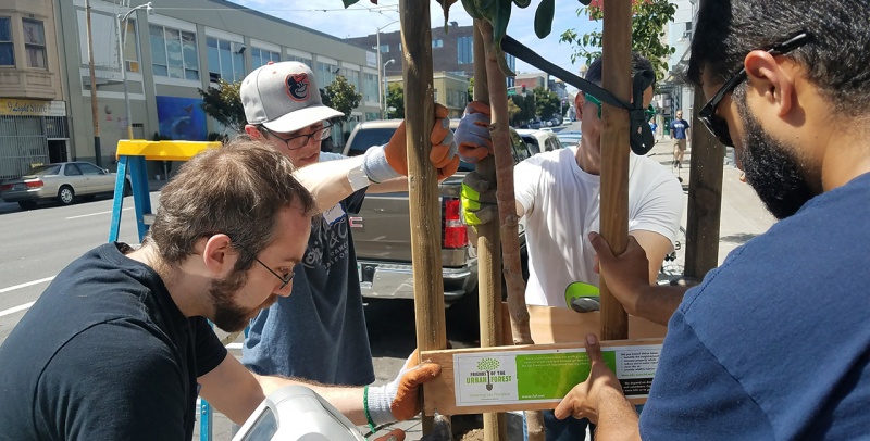 Tree Planting In San Francisco 1280X650